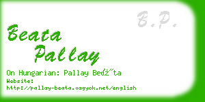 beata pallay business card